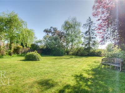 Picture 20